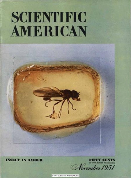 Scientific American Logo