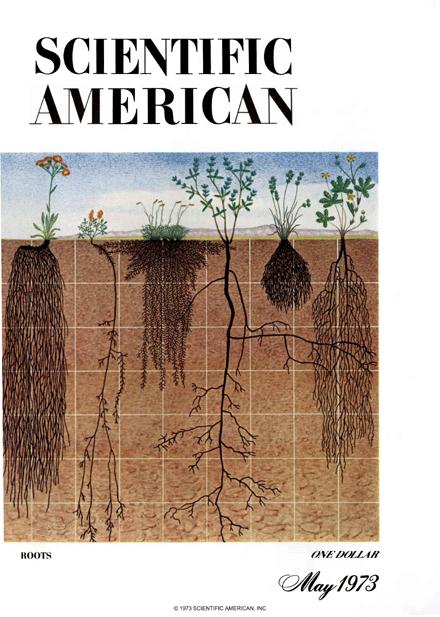 Cover art for Science Jigsaws